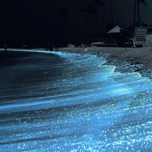 亚洲伊人久久精品
